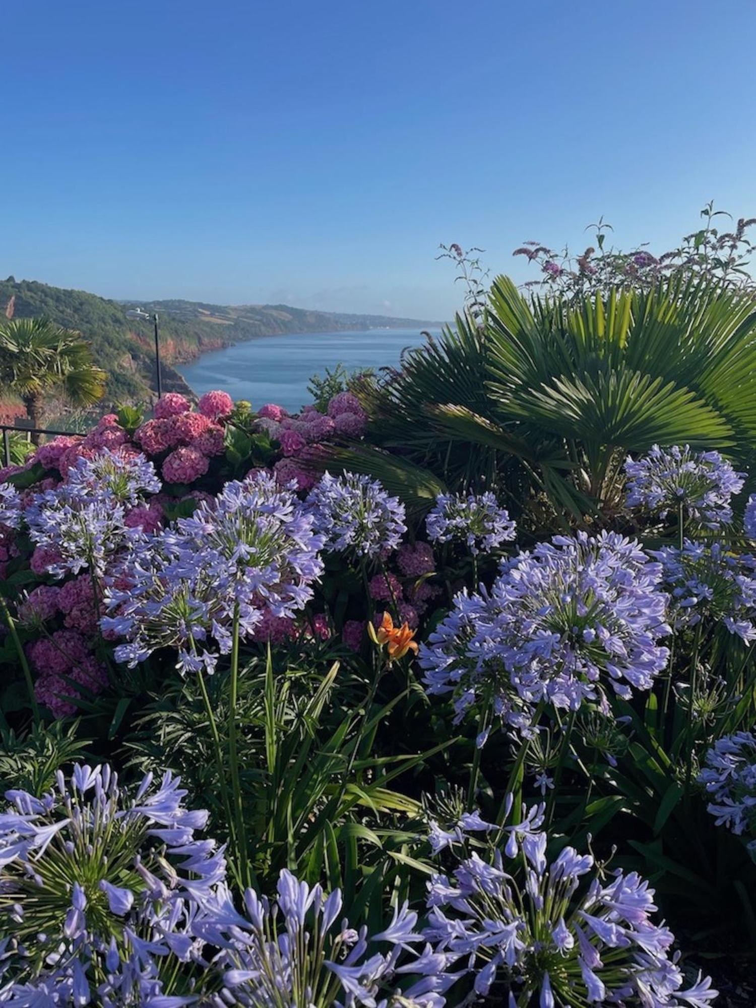 Headland View Boutique B&B 토키 외부 사진